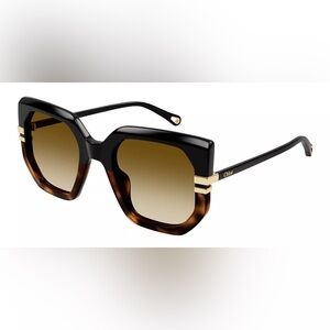 Brand New Chloé CH0240S 003 Tortoiseshell Square Sunglasses